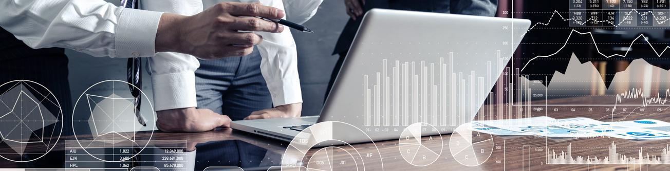 Business Consulting and Advisory